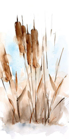 Watercolor Cattail Study I White Modern Wood Framed Art Print with Double Matting by Harper, Ethan