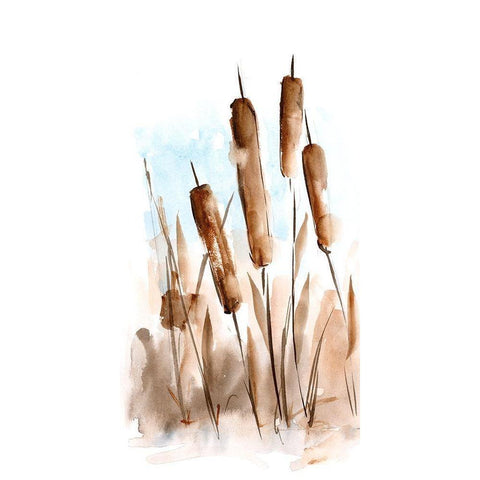 Watercolor Cattail Study II White Modern Wood Framed Art Print by Harper, Ethan