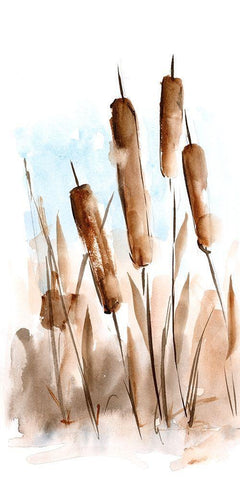 Watercolor Cattail Study II White Modern Wood Framed Art Print with Double Matting by Harper, Ethan