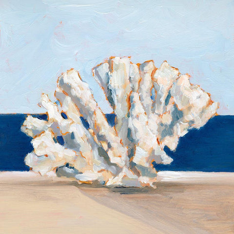 Coral By the Shore I White Modern Wood Framed Art Print with Double Matting by Harper, Ethan