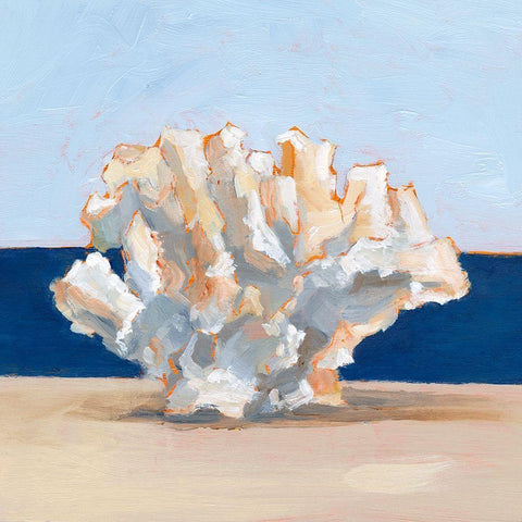 Coral By the Shore II White Modern Wood Framed Art Print with Double Matting by Harper, Ethan