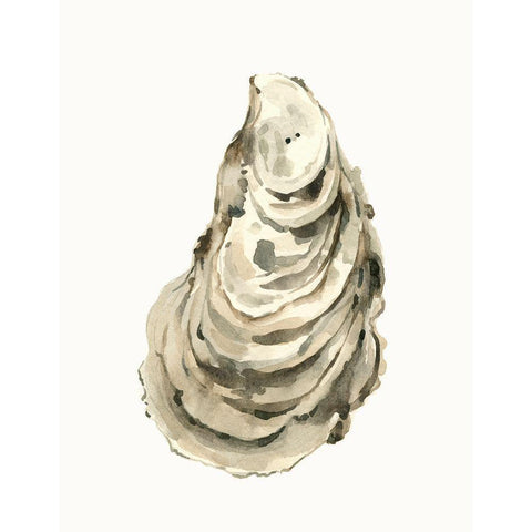 Neutral Oyster Study I Black Modern Wood Framed Art Print by Caroline, Emma