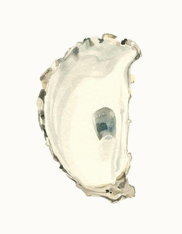 Neutral Oyster Study II White Modern Wood Framed Art Print with Double Matting by Caroline, Emma