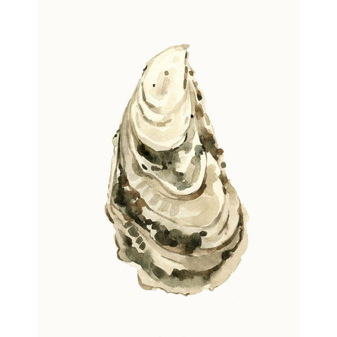 Neutral Oyster Study III Black Modern Wood Framed Art Print by Caroline, Emma
