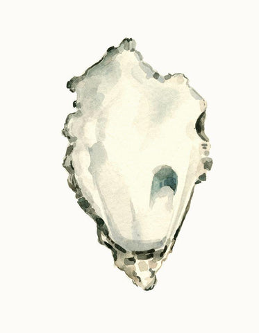 Neutral Oyster Study IV White Modern Wood Framed Art Print with Double Matting by Caroline, Emma