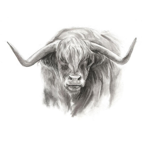 Soft Focus Highland Cattle II White Modern Wood Framed Art Print by Parker, Jennifer Paxton