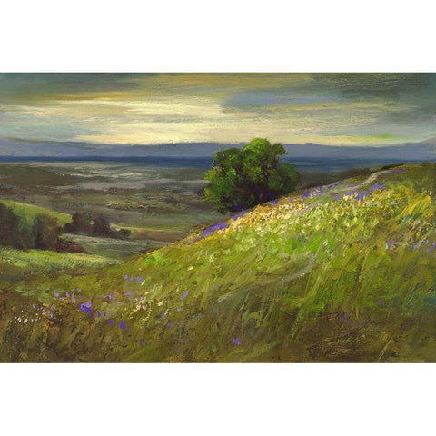 Path Up Windy Hill Black Modern Wood Framed Art Print with Double Matting by Finch, Sheila