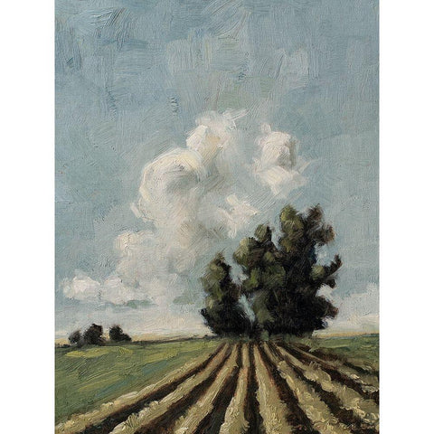 Custom Copse of Trees Black Modern Wood Framed Art Print with Double Matting by Parsons, Marian