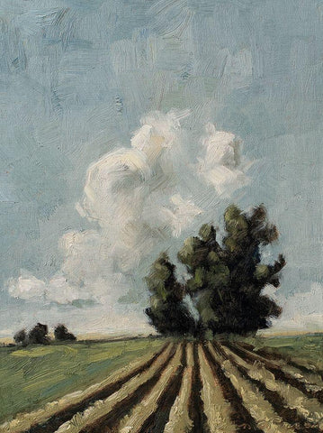 Custom Copse of Trees White Modern Wood Framed Art Print with Double Matting by Parsons, Marian