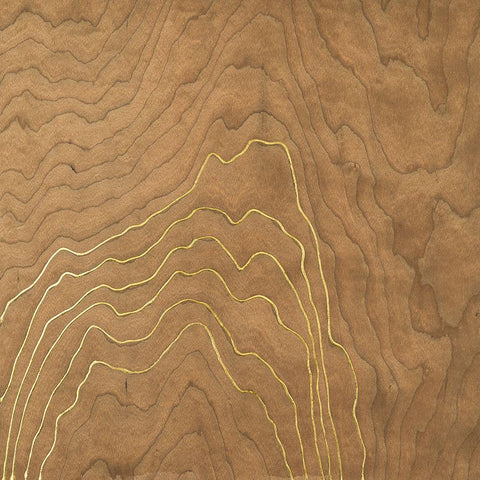 Golden Veneer II Black Modern Wood Framed Art Print with Double Matting by Lam, Vanna
