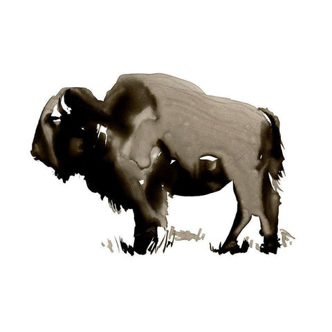 Monochrome Bison II Black Modern Wood Framed Art Print with Double Matting by Parker, Jennifer Paxton