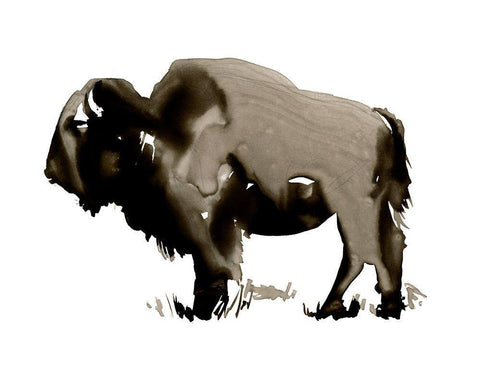 Monochrome Bison II White Modern Wood Framed Art Print with Double Matting by Parker, Jennifer Paxton