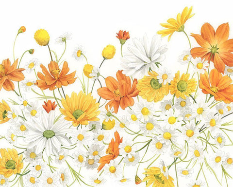 Sunny Wild Bouquet III White Modern Wood Framed Art Print with Double Matting by Popp, Grace