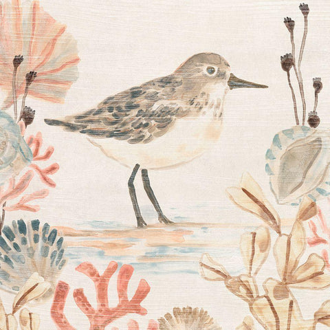 Shell Pipers I Gold Ornate Wood Framed Art Print with Double Matting by Vess, June Erica