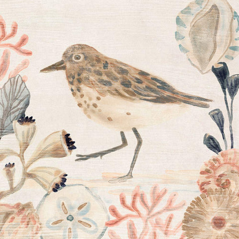 Shell Pipers II Gold Ornate Wood Framed Art Print with Double Matting by Vess, June Erica