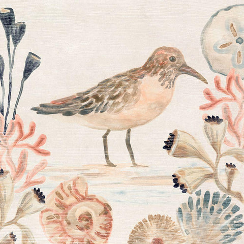 Shell Pipers III Black Modern Wood Framed Art Print with Double Matting by Vess, June Erica