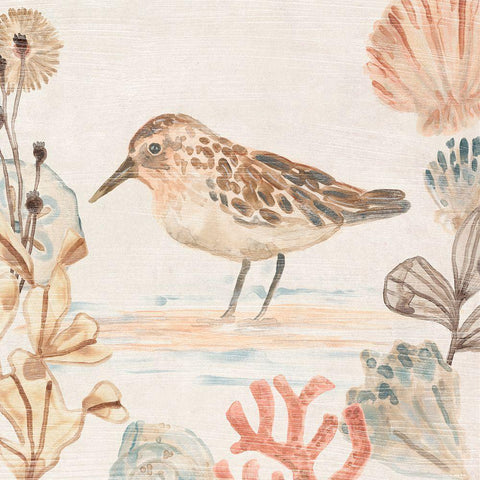 Shell Pipers IV Black Modern Wood Framed Art Print with Double Matting by Vess, June Erica