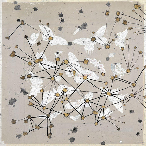 19th Century Butterfly Constellations I White Modern Wood Framed Art Print by Arbel, Lori