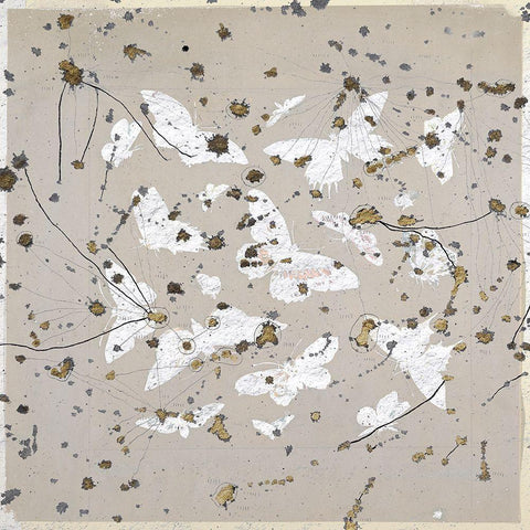 19th Century Butterfly Constellations II Black Ornate Wood Framed Art Print with Double Matting by Arbel, Lori
