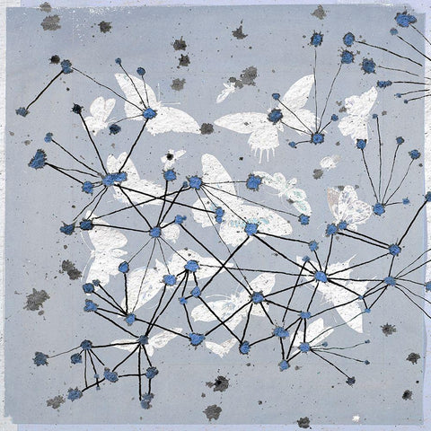 19th Century Butterfly Constellations in Blue I White Modern Wood Framed Art Print with Double Matting by Arbel, Lori