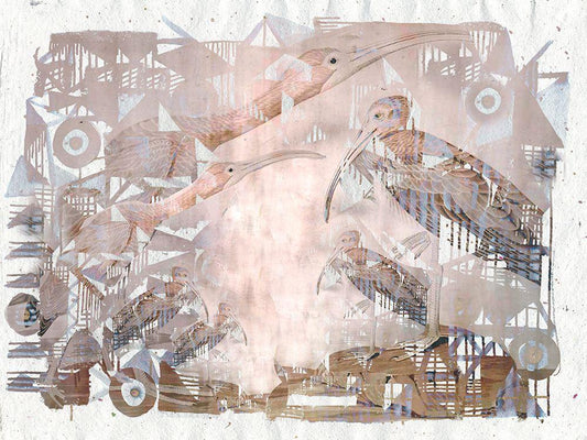 Image Only