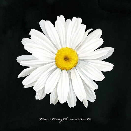 Image Only