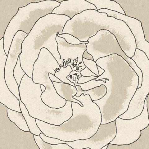 Beige Blooms II Black Modern Wood Framed Art Print with Double Matting by Saunders, Alonzo