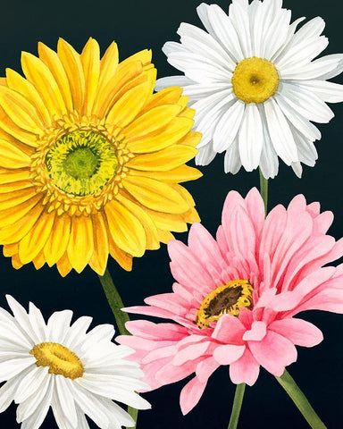 Gerbera Daisy I White Modern Wood Framed Art Print with Double Matting by Popp, Grace