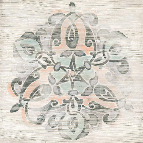 Weathered Emblem I Black Modern Wood Framed Art Print with Double Matting by Vess, June Erica