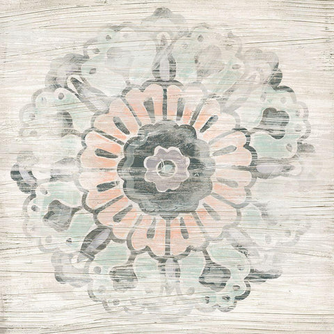 Weathered Emblem III Black Modern Wood Framed Art Print with Double Matting by Vess, June Erica