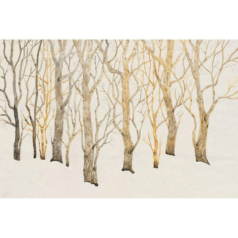 Bare Trees I Black Modern Wood Framed Art Print with Double Matting by OToole, Tim