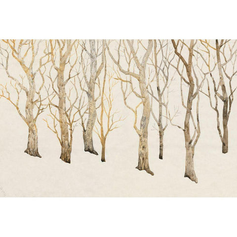 Bare Trees II Black Modern Wood Framed Art Print with Double Matting by OToole, Tim