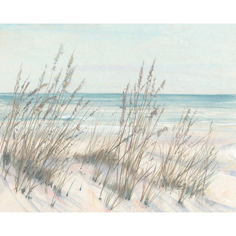 Beach Grass I Black Modern Wood Framed Art Print by OToole, Tim