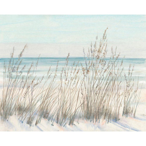 Beach Grass II White Modern Wood Framed Art Print by OToole, Tim