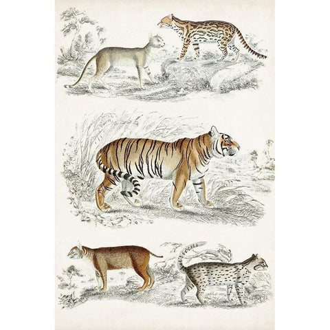 Journal of Natural History II Gold Ornate Wood Framed Art Print with Double Matting by Cuvier, Georges