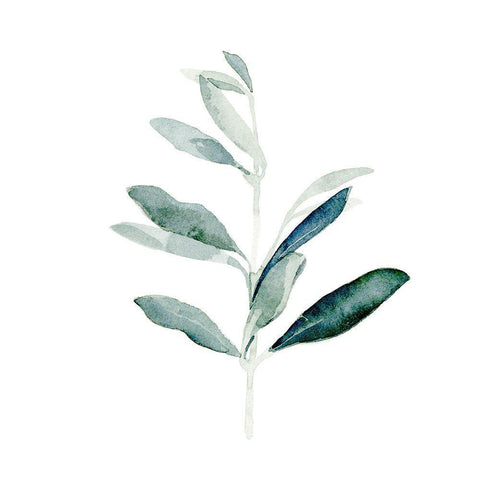 Summer Olive Branch I Black Ornate Wood Framed Art Print with Double Matting by Caroline, Emma