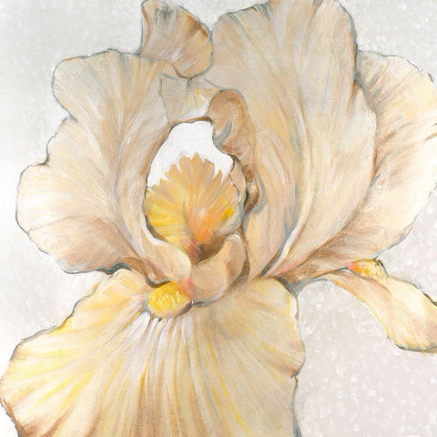 Iris Cream I Black Modern Wood Framed Art Print by OToole, Tim