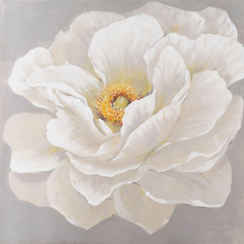 White Peony I White Modern Wood Framed Art Print by OToole, Tim