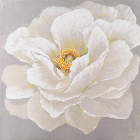 White Peony I Gold Ornate Wood Framed Art Print with Double Matting by OToole, Tim