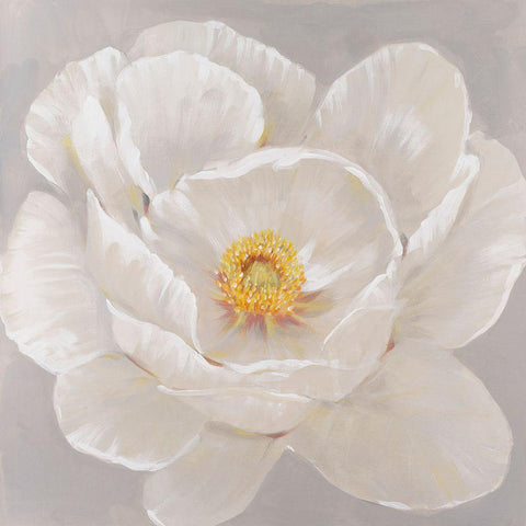 White Peony II Gold Ornate Wood Framed Art Print with Double Matting by OToole, Tim