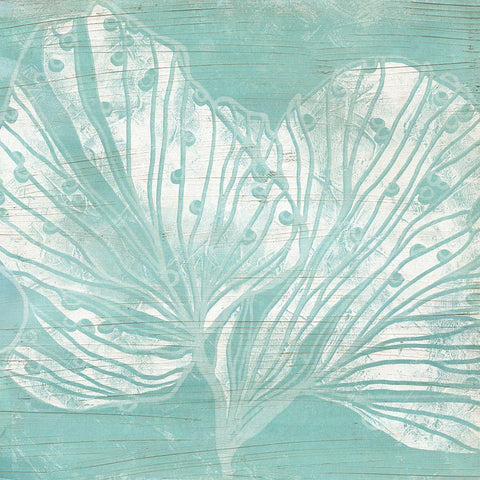 Cerulean Sea Coral II White Modern Wood Framed Art Print with Double Matting by Vess, June Erica