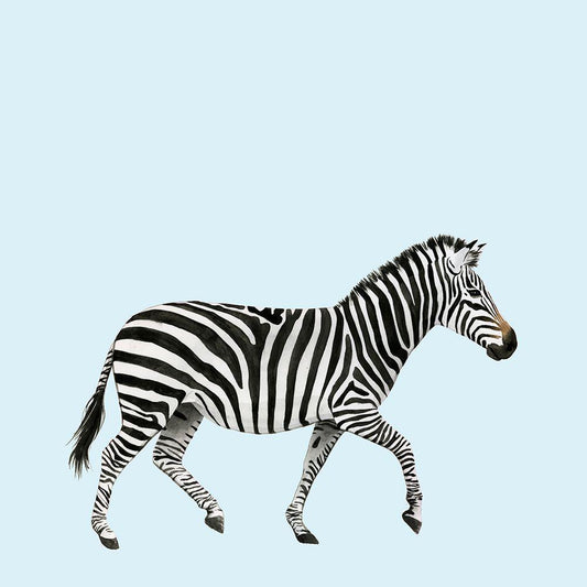 Image Only