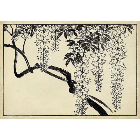 Japanese Wisteria I B Black Modern Wood Framed Art Print with Double Matting by Unknown