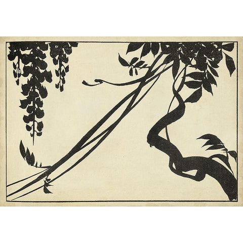 Japanese Wisteria II B Black Modern Wood Framed Art Print with Double Matting by Unknown