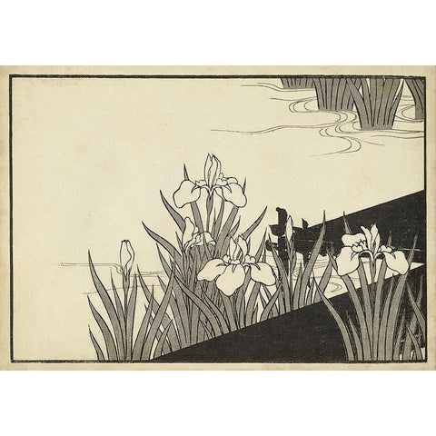 Japanese Irises A White Modern Wood Framed Art Print by Unknown