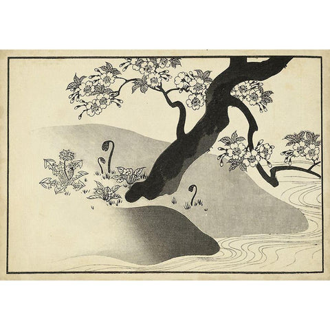 Japanese Cherry Blossom Tree A Gold Ornate Wood Framed Art Print with Double Matting by Unknown