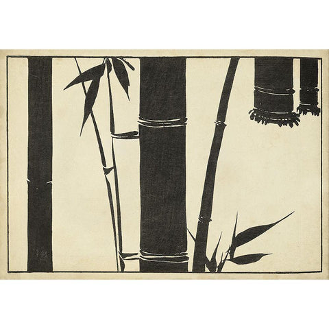 Japanese Bamboo A Black Modern Wood Framed Art Print with Double Matting by Unknown