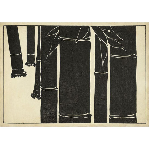 Japanese Bamboo B Black Modern Wood Framed Art Print with Double Matting by Unknown