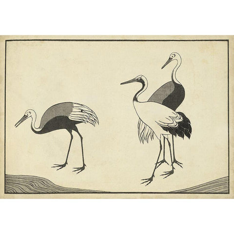 Japanese Cranes B White Modern Wood Framed Art Print by Unknown