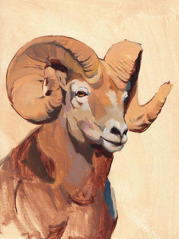Ochre Ram I Black Ornate Wood Framed Art Print with Double Matting by Green, Jacob